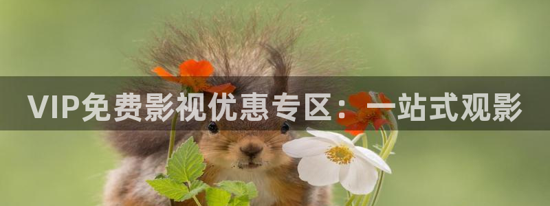 星空影院在线观看免费电影：VIP免费影视优惠专区：一站式观影