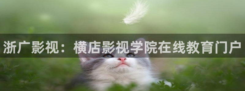 星空无限传媒影院