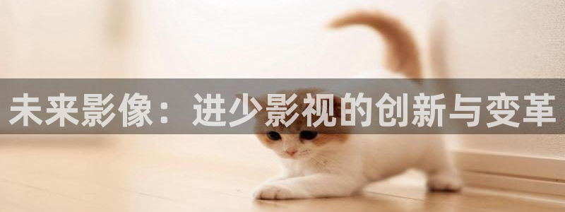 星空传媒精东影业