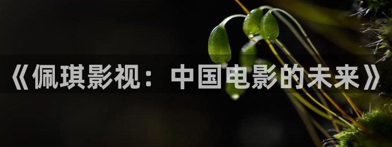 星空影院在线观看免费节目：《佩琪影视：中国电影的未来》