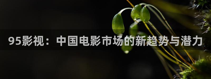 星空影院影视大全免费观看：95影视：中国电影市场的新趋势与潜力