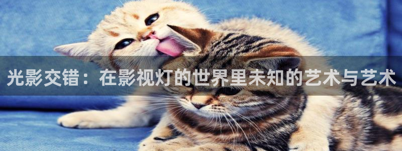 星空影院在线观看免费动漫电视剧