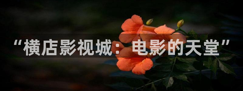 星空电影在线