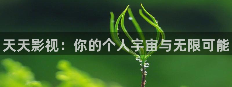星空影城今日放映