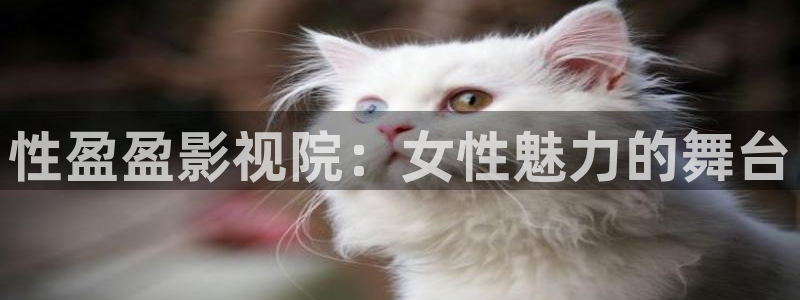 星空影院旧版电影免费观看