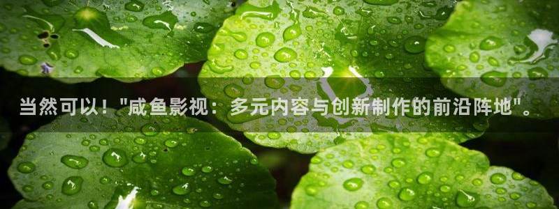 星空 电影：当然可以！\